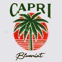 NOLAN PRINTED CAPRI